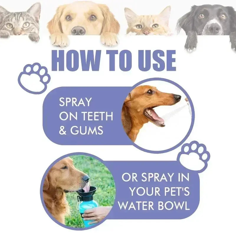 Pet Teeth Cleaning Spray Oral Care Remove Tooth Stains Keep Fresh Breath for Cats and Dogs Whitening  Remove bad breath - Nova Trendz