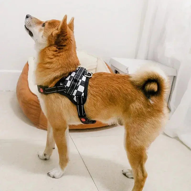 Personalized Dog Harness Nylon Reflective Breathable Pet Harness Vest For Small Large Dogs outdoor Walk Training Accessories - Nova Trendz