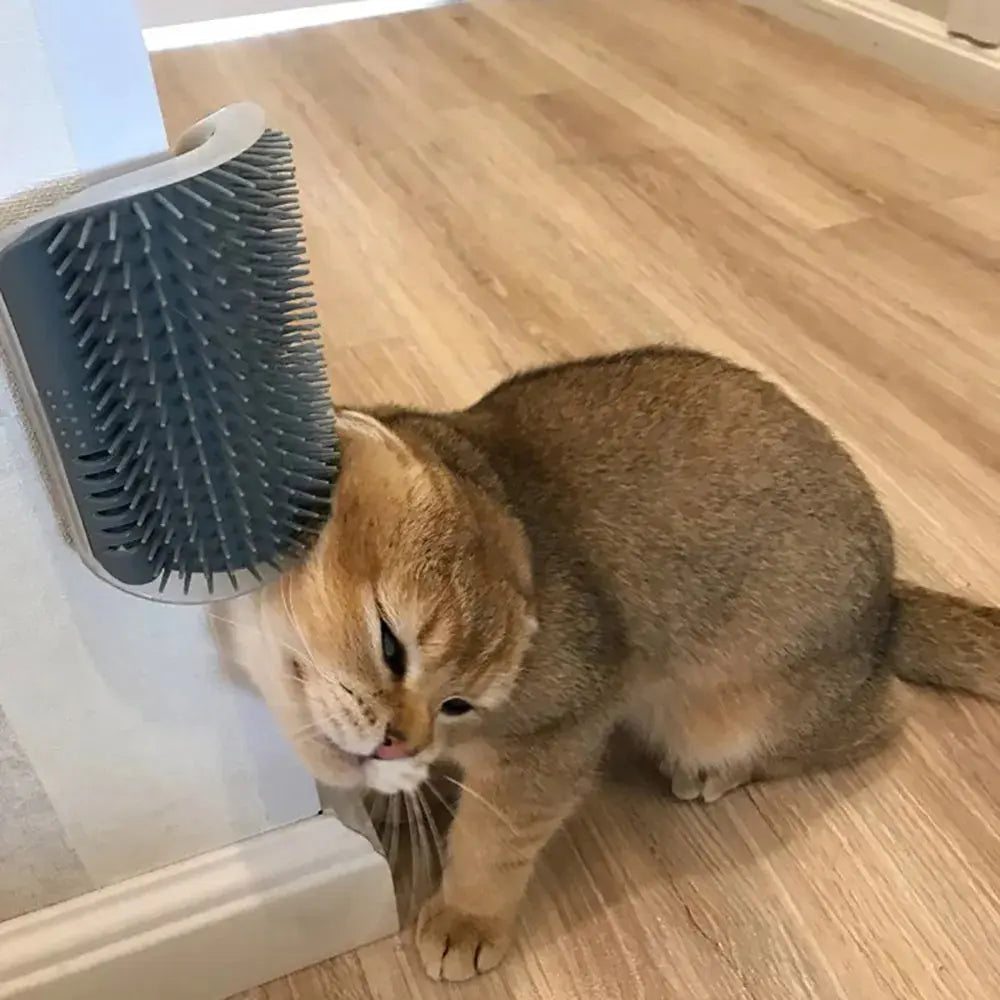Pet Cat Corner Scrubber Massager Cat Scratching Scratching Scratcher Cat Brush Comb Massage Corner Brush Pet Supplies Nova Trendz