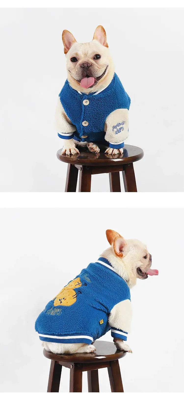 Thickened Warm Baseball Jacket, Pet Clothes, Autumn and Winter - Nova Trendz