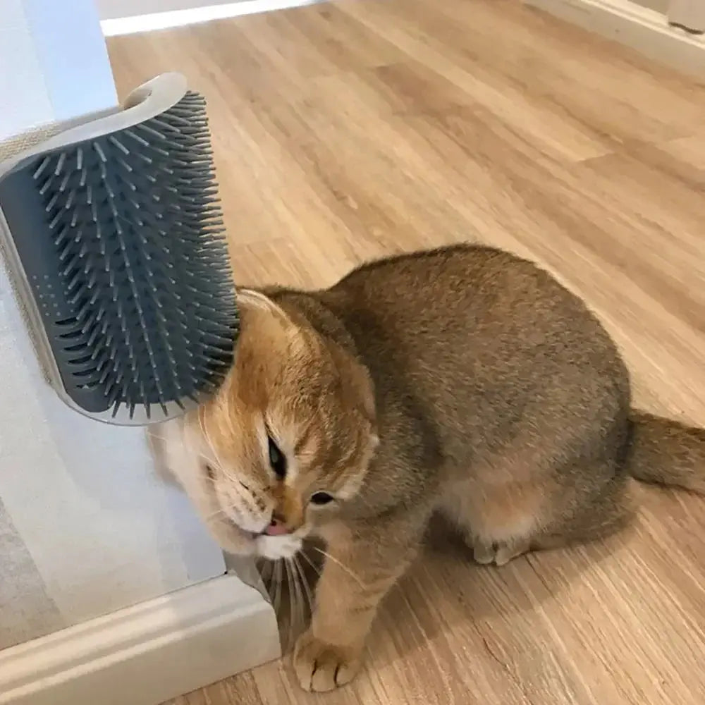 Pet Cat Corner Scrubber Massager Cat Scratching Scratching Scratcher Cat Brush Comb Massage Corner Brush Pet Supplies Nova Trendz