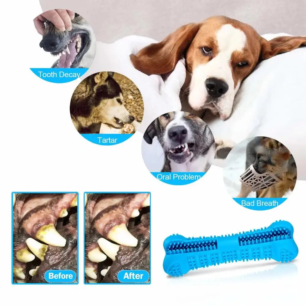 Soft Rubber Dog Toothbrushes Puppy Toys Dog Brush Stick 360 Degree Teeth Cleaning Toothpaste for Small Dogs Pet Toothbrush - Nova Trendz