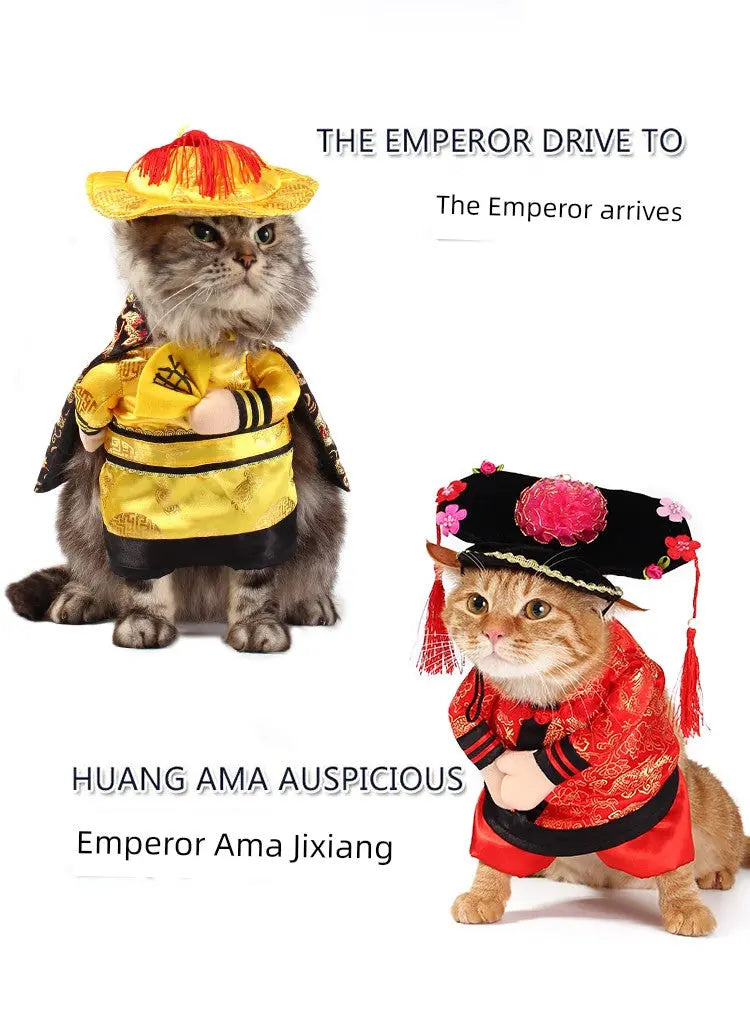Cat Transformation Funny Pet Upright Pet Costume Cat Clothes Dog Funny Cat British Shorthair Cute Thin Summer Clothing Nova Trendz