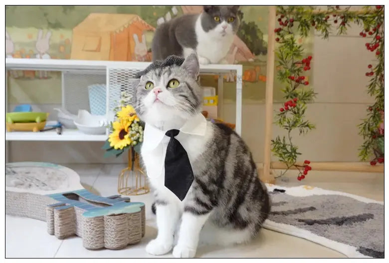 Funny Pet Cat Hat Gentleman's Hat Beret Tie Bathing Blood Gangster Handsome Cosplay Photo Prop Dog Halloween Costume Nova Trendz