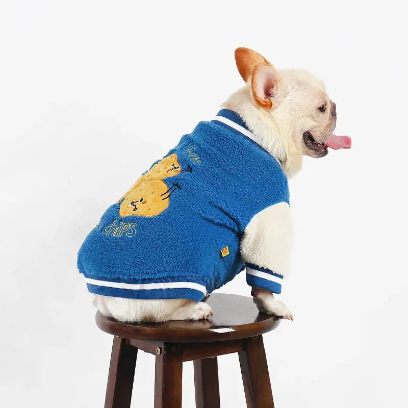 Thickened Warm Baseball Jacket, Pet Clothes, Autumn and Winter - Nova Trendz