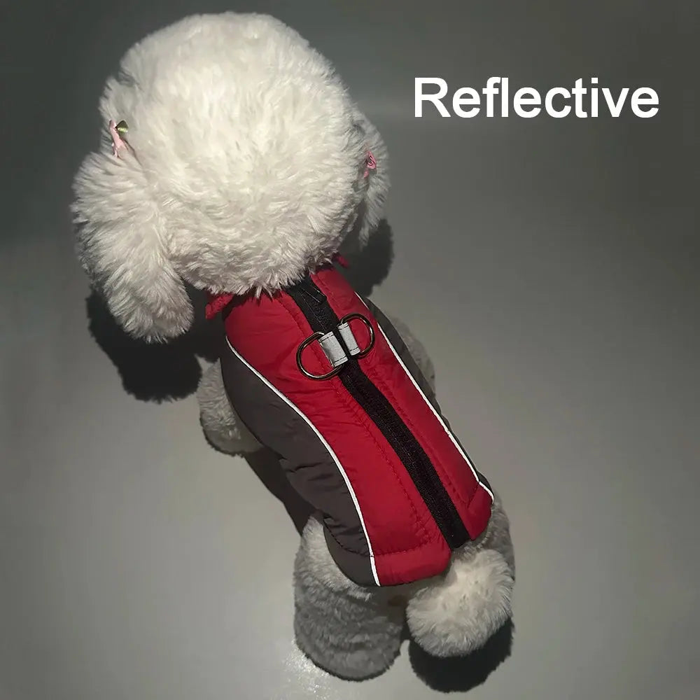 Winter Warm Pet Dog Clothes For Small Dogs Coat Waterproof Reflective Puppy Jacket French Bulldog Outfit Chihuahua Vest Supplies - Nova Trendz