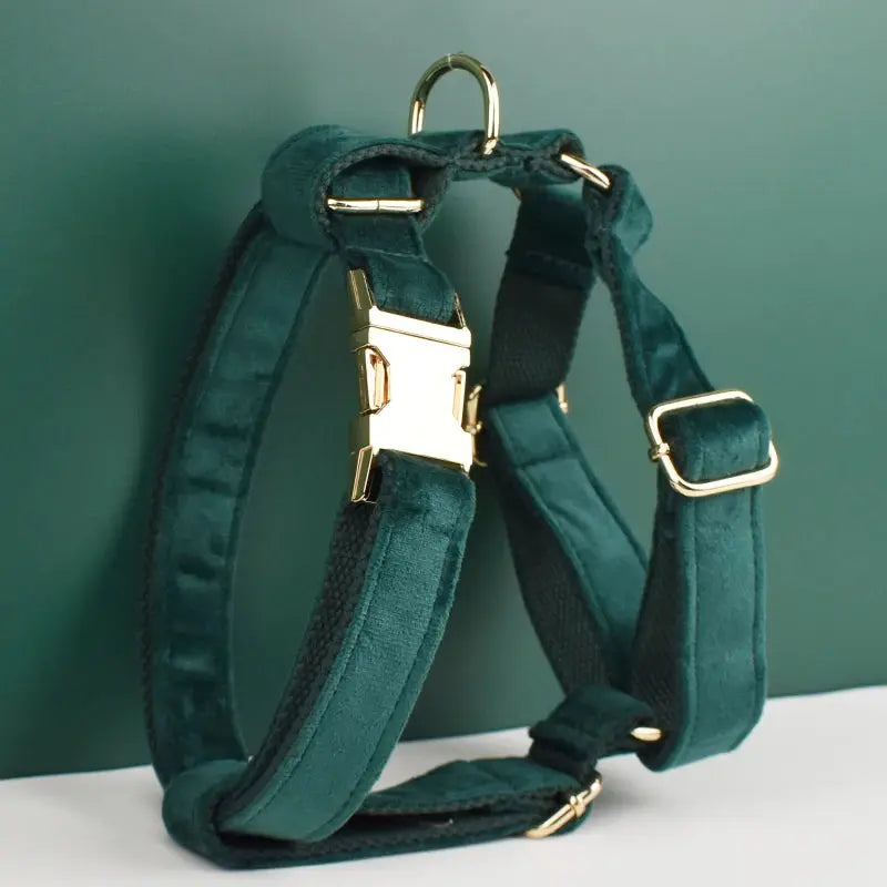 Green Velvet Dog Collar And Leash Set For Dogs Custom Engraved Nameplate Pet Supplies Dog Leash velvet43 - Nova Trendz