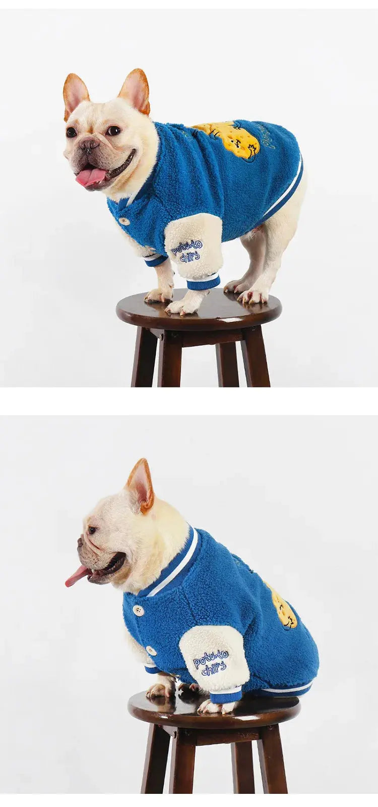 Thickened Warm Baseball Jacket, Pet Clothes, Autumn and Winter - Nova Trendz