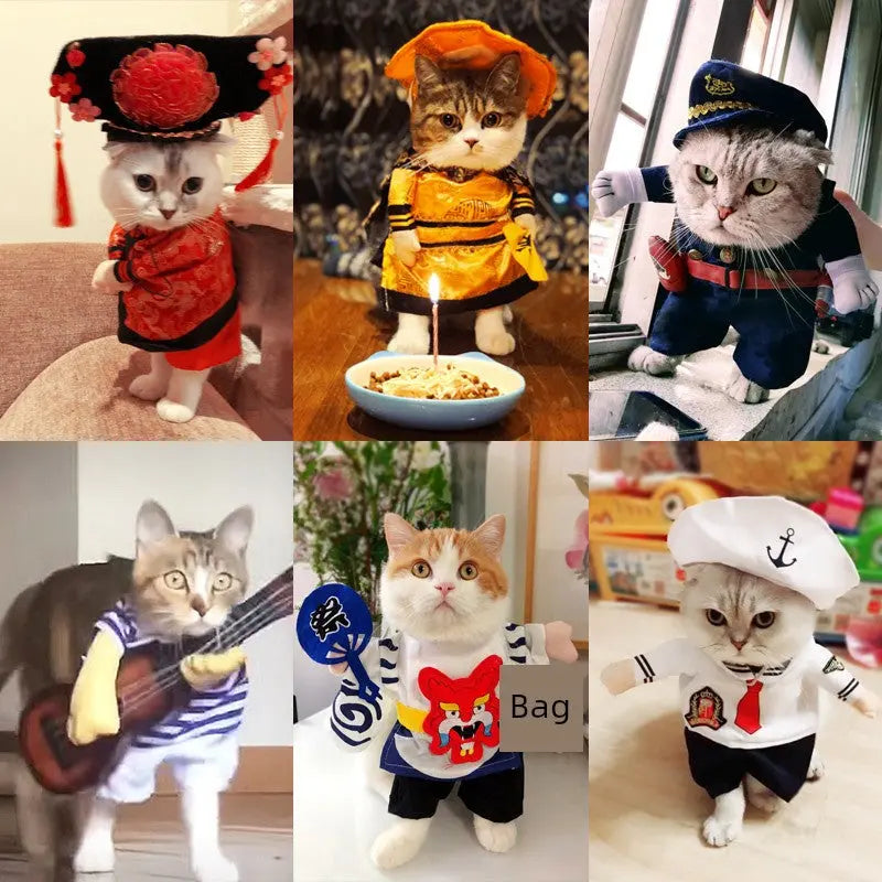 Cat Clothes Dog Clothes Teddy British Shorthair Pet Costume Funny Selling Cute Upright Pet Costume Spring and Summer Clothes Hot Nova Trendz