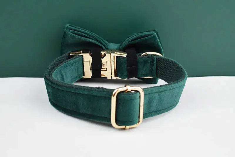 Green Velvet Dog Collar And Leash Set For Dogs Custom Engraved Nameplate Pet Supplies Dog Leash velvet43 - Nova Trendz