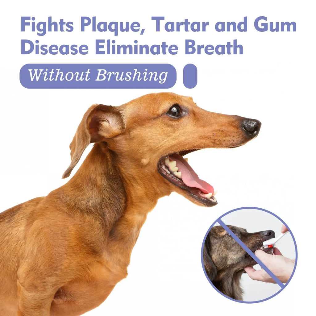 Pet Oral Cleaning Spray, Dog Cat Bad Breath Remover, Dental Stain Care, 30ml - Nova Trendz