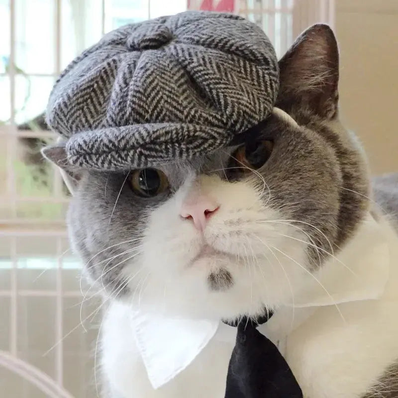 Funny Pet Cat Hat Gentleman's Hat Beret Tie Bathing Blood Gangster Handsome Cosplay Photo Prop Dog Halloween Costume Nova Trendz