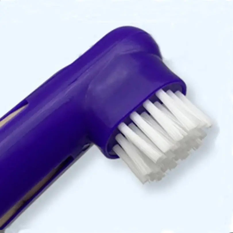 Pet Toothpaste Toothbrush Dog Cat Teeth Cleaning Dog Cat Fingertips Cat Dog Disposable Toothbrush Toothpaste Set - Nova Trendz