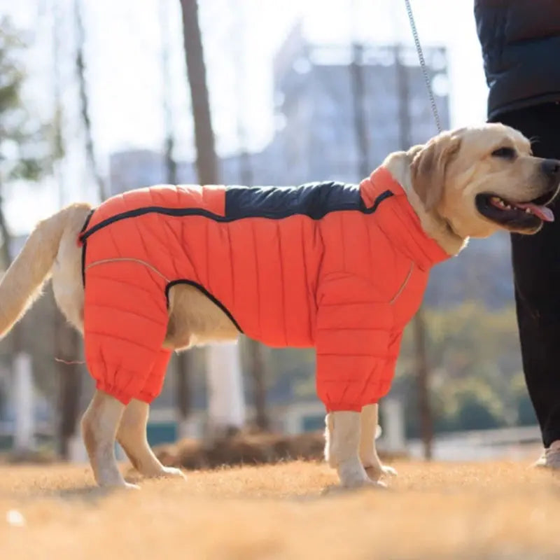 Dog Thicken Cotton-padded Coat Pet Warm Down Jacket Windproof 4 Legs Pet Outfit Winter Greyhound Husky Corgi Chihuahua Clothes - Nova Trendz