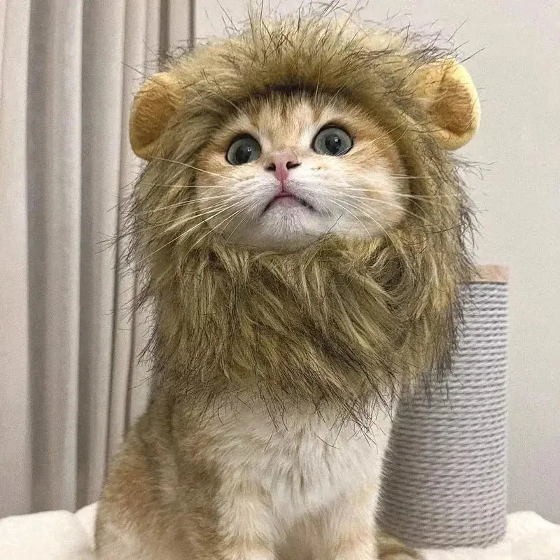 Cat Costume Cute Lion Mane Cat Wig Hat Cosplay Clothes Cap Dress Up Puppy Kitten Halloween Christmas Party Decoration Supplies Nova Trendz