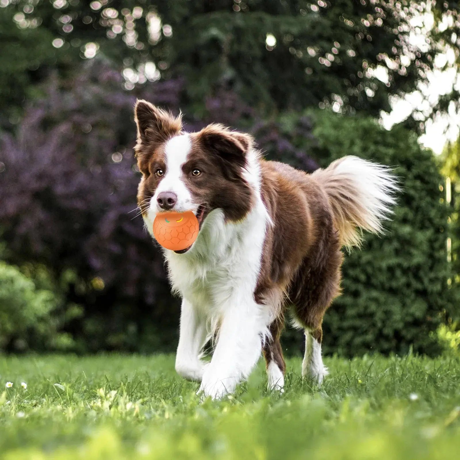 Smart Dog Toy Ball Electronic Interactive Pet Toy Ball USB Automatic Bouncing Rolling Toy Ball With RGB Lights Puppy Cat Product - Nova Trendz