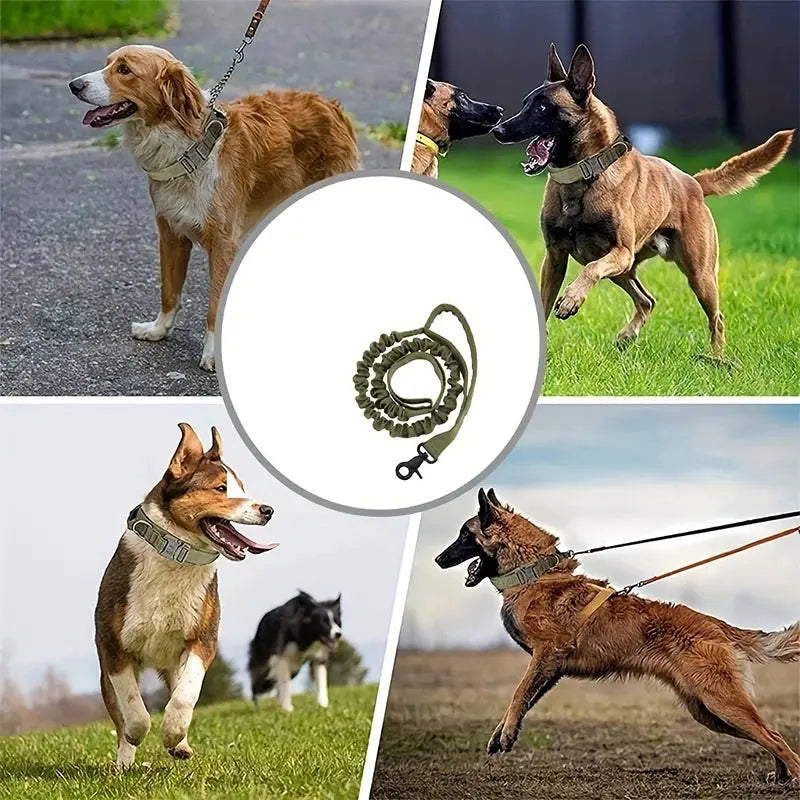Dog Tactical Leash ，Outdoor Training Dog Leash ，1000D Nylon Elastic Leash Nova Trendz