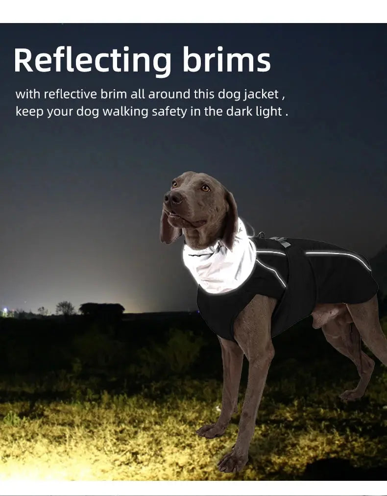 Dog Clothes Luxury Winter Jacket for Small Medium Large Dogs Waterproof Soft Padded Warm Pet Coat Safety Reflective  Dog Outfit - Nova Trendz