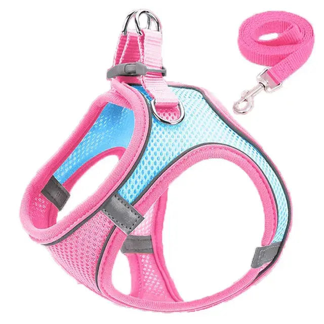 Cat Harness Reflective Pet Harnesses And Leashes Set Adjustable Pet Harness for Cats Small Dogs Pug Chihuahua Cat Accessories - Nova Trendz