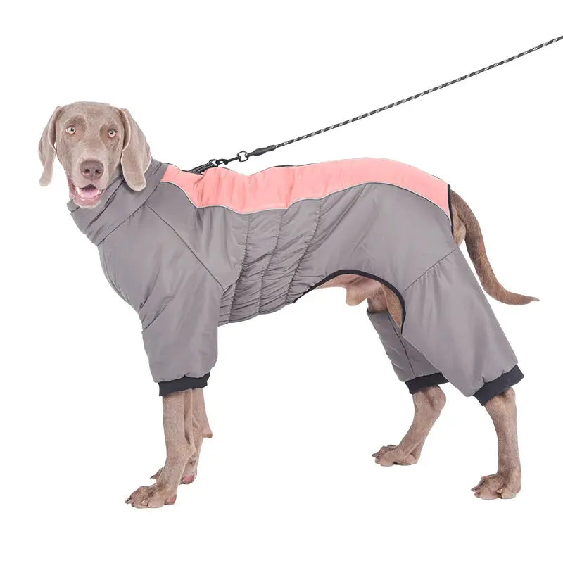 Waterproof Pet Dog Winter Jumpsuit Warm Medium Large Dogs Winter Jacket Clothes Labrador Bulldog Golden Retriever Costumes - Nova Trendz