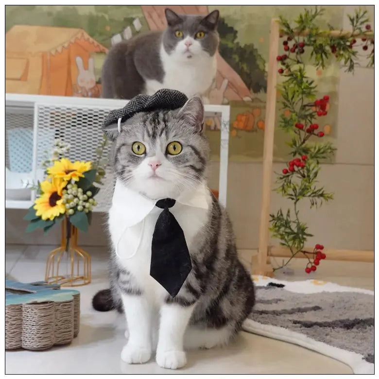 Funny Pet Cat Hat Gentleman's Hat Beret Tie Bathing Blood Gangster Handsome Cosplay Photo Prop Dog Halloween Costume Nova Trendz