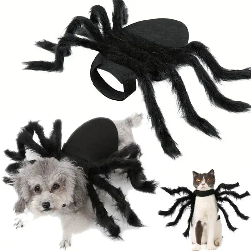 NONOR Halloween Dog Cat Clothes Pet Cosplay Funny Spider Costume Halloween Party Costumes for Small Medium Dog Cat Costumes Nova Trendz