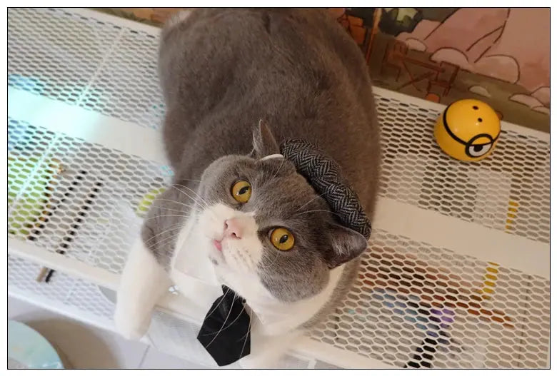Funny Pet Cat Hat Gentleman's Hat Beret Tie Bathing Blood Gangster Handsome Cosplay Photo Prop Dog Halloween Costume Nova Trendz