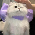 Cat Mermaid Crossdressing Funny Swimsuit Fish Tail Shape Cute Bikini Dog Pet Clothes Pet Halloween Costume Cats Clothes - Nova Trendz