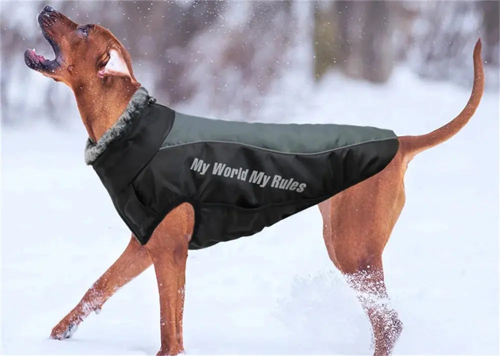 Thickened Big Dog Coat Jacket with Fur Collar Winter Warm Pet Clothes for Medium Large Dogs Greyhound Doberman mascotas Outfits - Nova Trendz