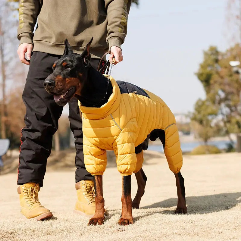 Dog Thicken Cotton-padded Coat Pet Warm Down Jacket Windproof 4 Legs Pet Outfit Winter Greyhound Husky Corgi Chihuahua Clothes - Nova Trendz