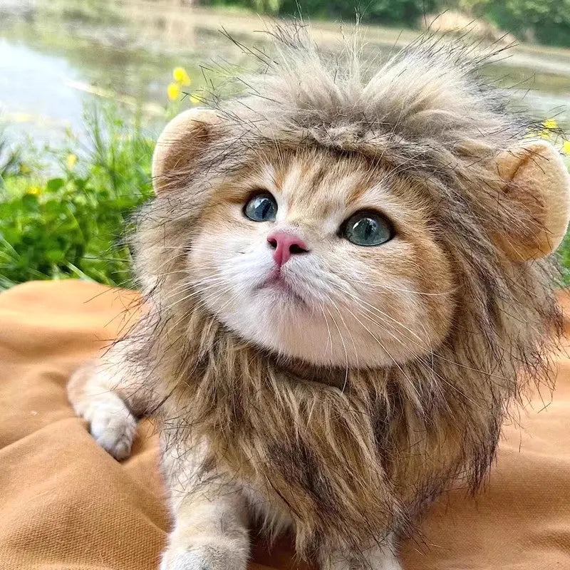 Cat Cosplay Dress Up Pet Hat Lion Mane for Cat Puppy Lion Wig Costume Party Decoration Halloween Christmas GatosPet Supplies Nova Trendz