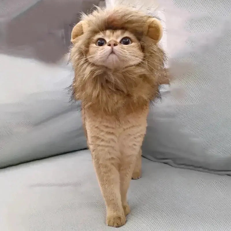 Cat Cosplay Dress Up Pet Hat Lion Mane for Cat Puppy Lion Wig Costume Party Decoration Halloween Christmas GatosPet Supplies Nova Trendz