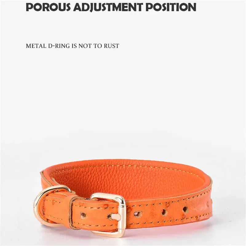 Leather Dog Collar Fashion Solid Color Ostrich Pattern Adjustable Pet Neck Ring Suitable For Small Large Dogs Kitten Puppy Items Nova Trendz