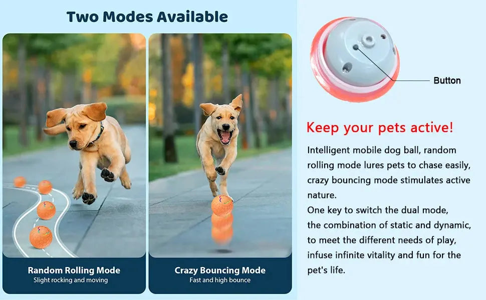 Smart Dog Toy Ball Electronic Interactive Pet Toy Ball USB Automatic Bouncing Rolling Toy Ball With RGB Lights Puppy Cat Product - Nova Trendz
