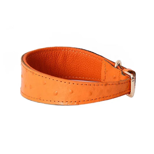 Leather Dog Collar Fashion Solid Color Ostrich Pattern Adjustable Pet Neck Ring Suitable For Small Large Dogs Kitten Puppy Items