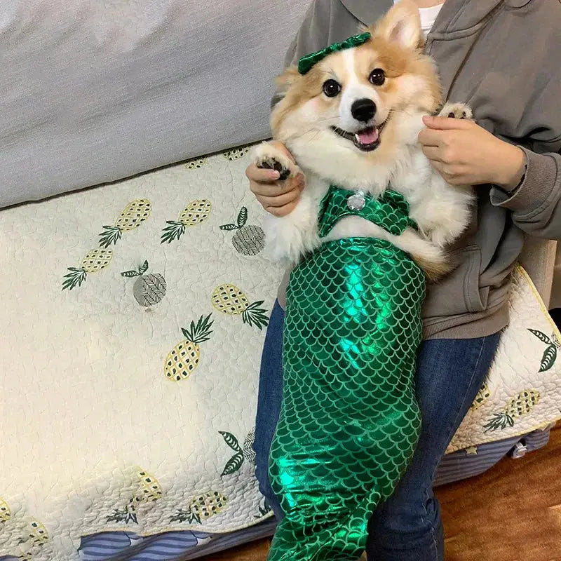 Cat Mermaid Crossdressing Funny Swimsuit Fish Tail Shape Cute Bikini Dog Pet Clothes Pet Halloween Costume Cats Clothes - Nova Trendz
