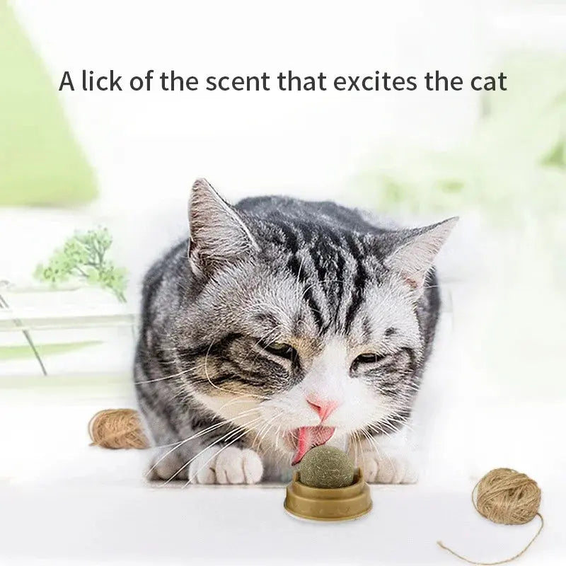 Natural Catnip Cat Wall Stick-on Ball Toy Scratchers Treats Healthy Natural Removes Balls to Promote Digestion Cat Grass Snack - Nova Trendz