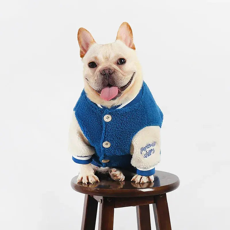 Thickened Warm Baseball Jacket, Pet Clothes, Autumn and Winter - Nova Trendz