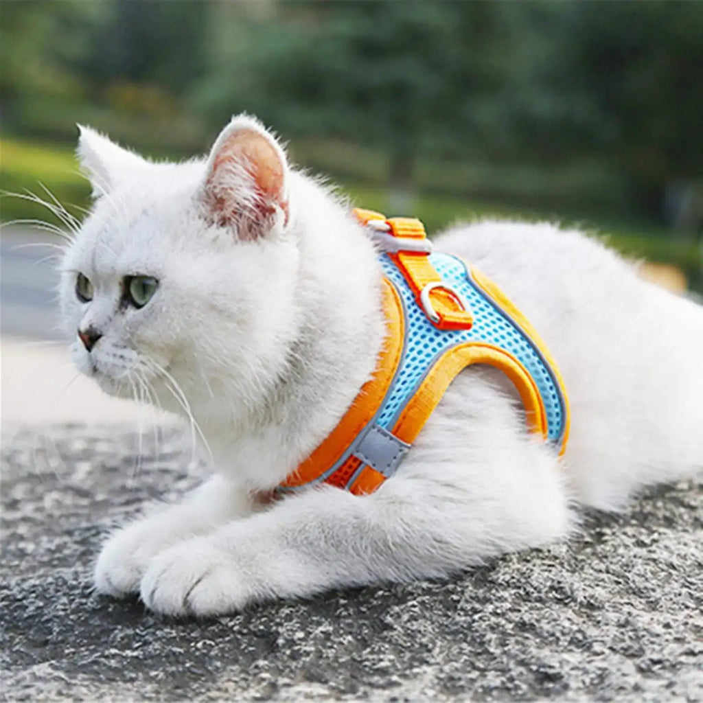 Cat Harness Reflective Pet Harnesses And Leashes Set Adjustable Pet Harness for Cats Small Dogs Pug Chihuahua Cat Accessories - Nova Trendz