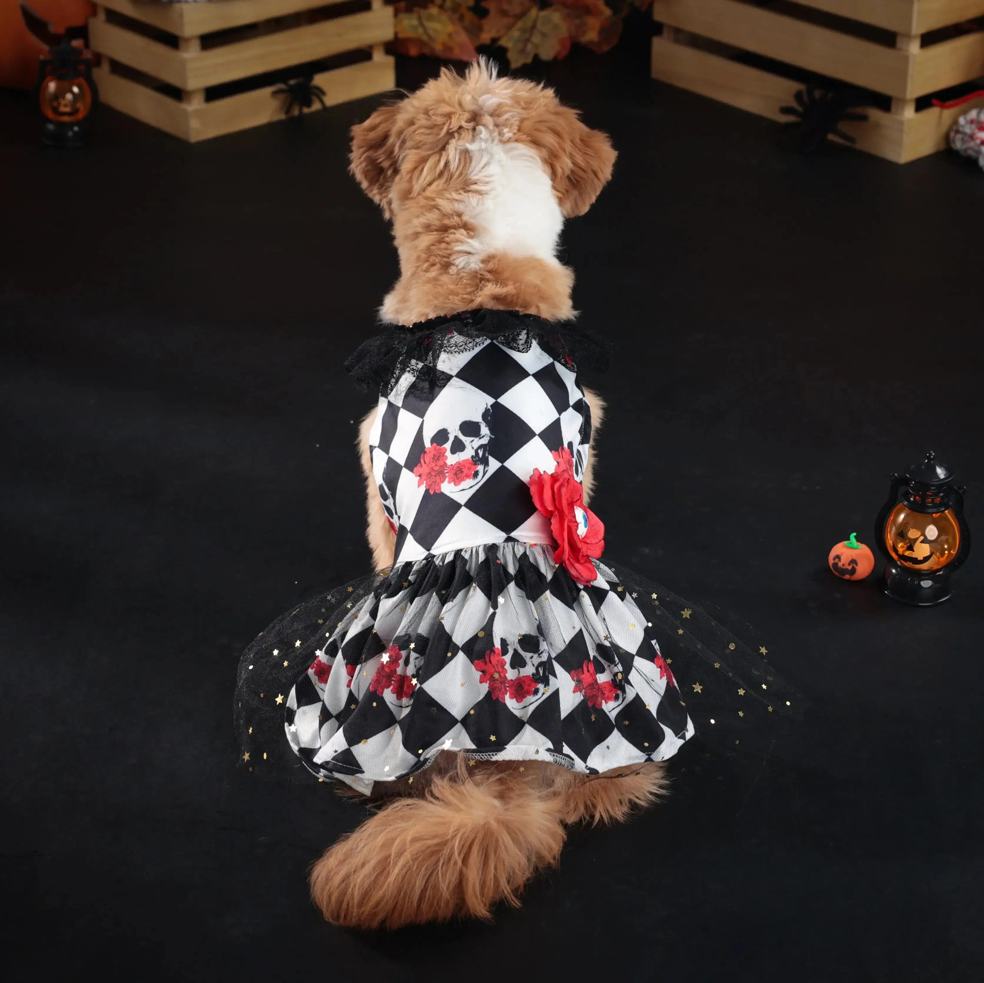 New Fun Dog Halloween Costume Pet Lace Hair Proof Dress Dog Clothes Gift Dog Dress Nova Trendz