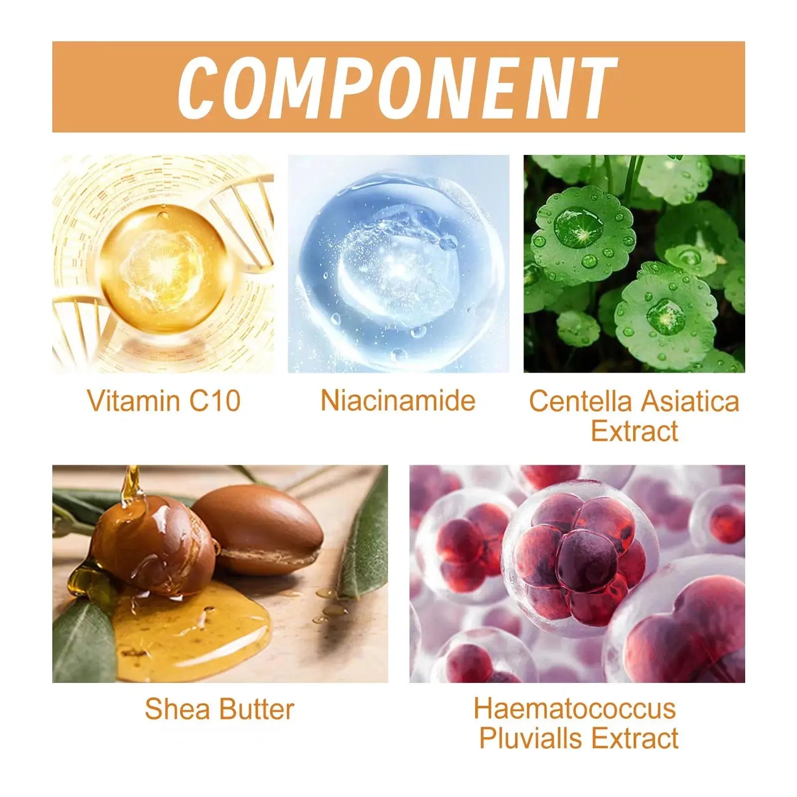 Vitamin C Wrinkle Remover Face Serum Lifting Firming Fade Fine Lines Anti-aging Essence Whitening Brighten Nourish Skin Care Nova Trendz