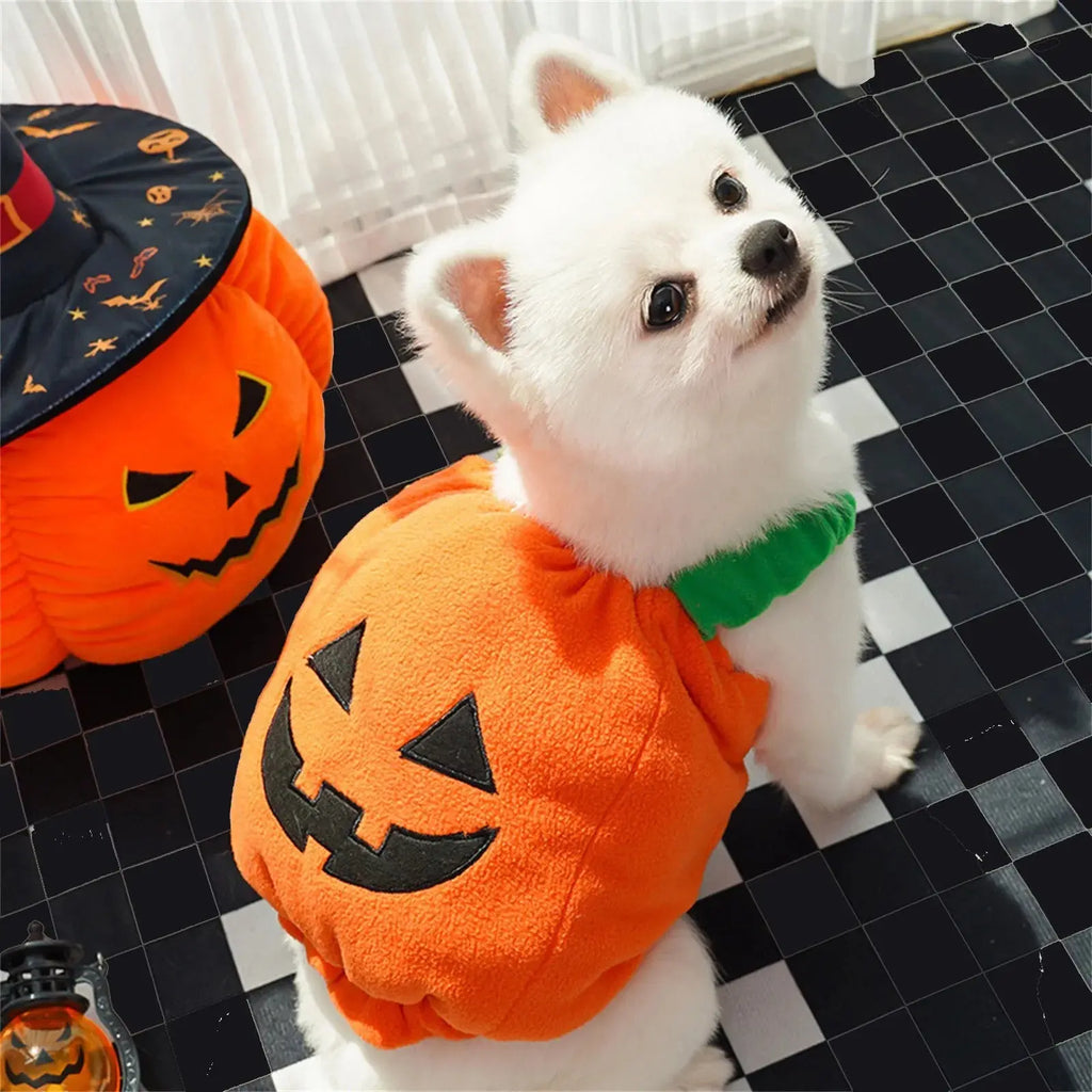 Halloween Pumpkin Lantern Dog Clothes Transformation Costume Cosplay Funny Cat Teddy Dog Special Events Apparel Comical Outfits - Nova Trendz