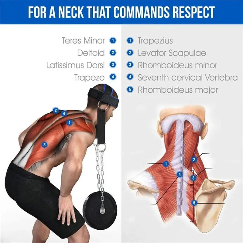 Head Harness Sports Neck Training Exerciser Strap Muscle Builder Home Gym for Strength Fitness Weight Lifting Workout Boxing MMA Nova Trendz