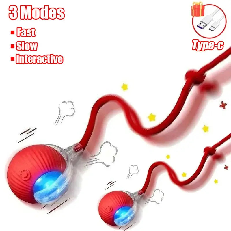 New Cat Interactive Ball Toy Automatic Rolling Ball Faux Tail Rechargeable Smart Pet Electric Toy Dog Cat Training Imitate Mouse - Nova Trendz