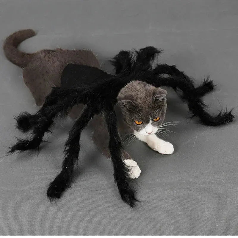 NONOR Halloween Dog Cat Clothes Pet Cosplay Funny Spider Costume Halloween Party Costumes for Small Medium Dog Cat Costumes Nova Trendz