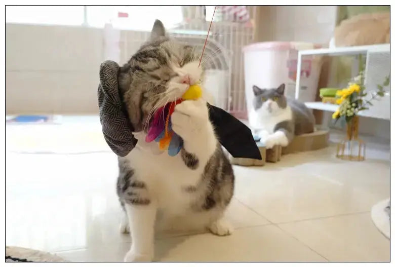 Funny Pet Cat Hat Gentleman's Hat Beret Tie Bathing Blood Gangster Handsome Cosplay Photo Prop Dog Halloween Costume Nova Trendz