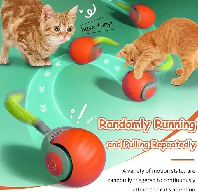 New Interactive Cat Toys Ball Auto Electric Rolling Ball Toys for Cat Kitty Pet Smart Automatic Teaser USB Rechargeable Cat Toy - Nova Trendz