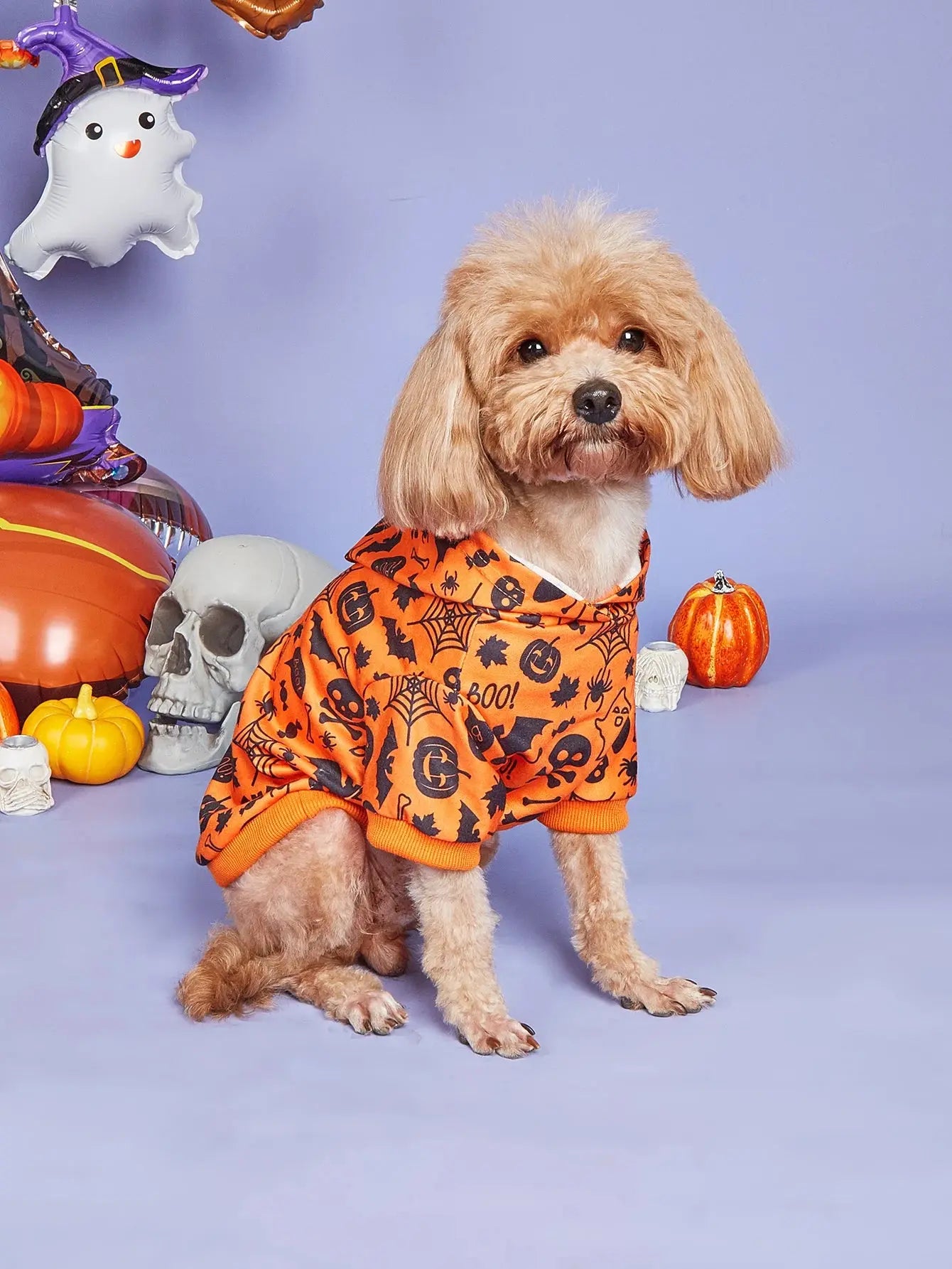 Dog Halloween Costume, Holiday Dog Clothes for Small Dogs , Funny Pet Pumpkin Spider Hoodie, Cat Bone Outfit - Nova Trendz