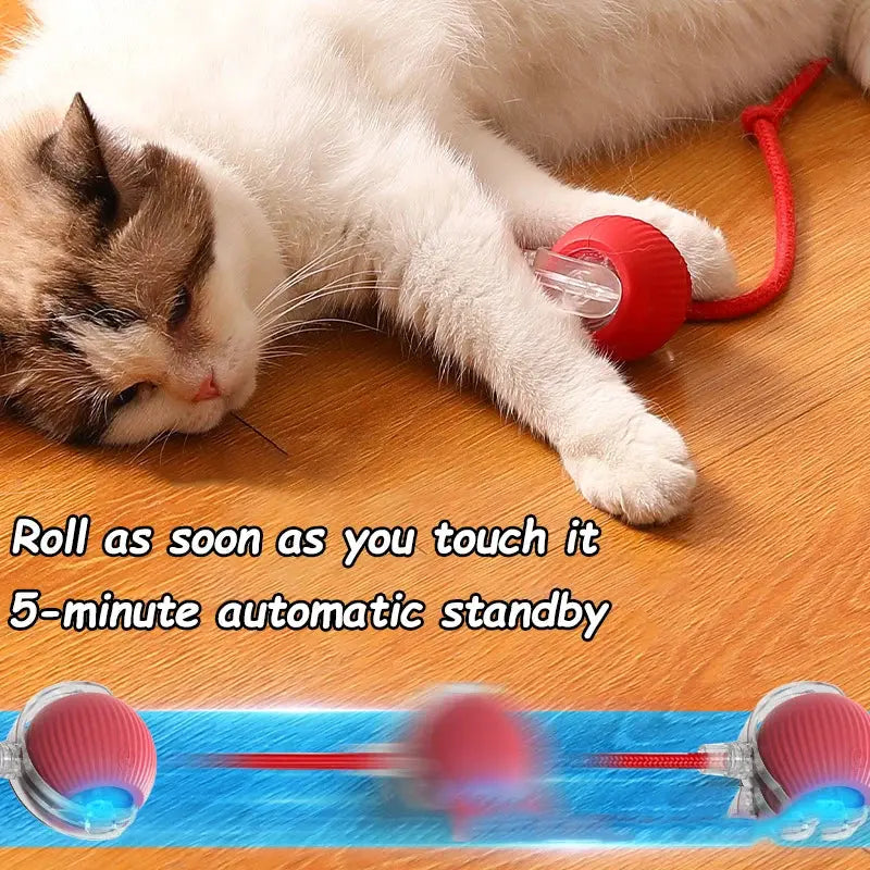 Cat Interactive Ball Toys Automatic Rolling Ball Faux Tail Rechargeable Smart Pet Electric Toy Dog Cat Training Imitate Mouse - Nova Trendz