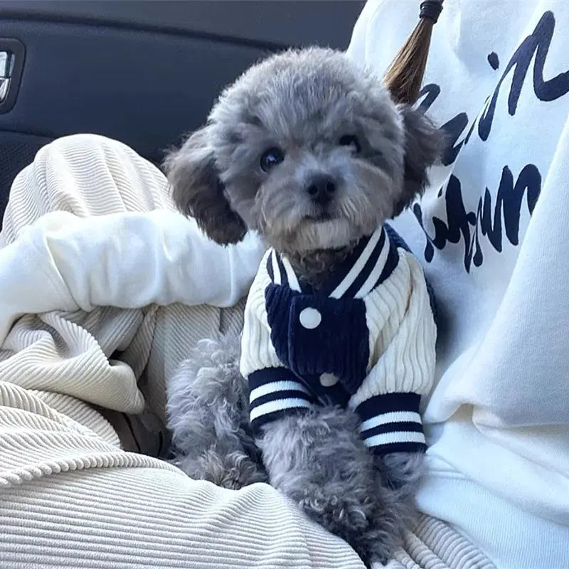 Cute Embroidered Pet Baseball Jackets Dog Clothes For Small Medium Cat Teddy Coat Puppy Spring Clothes Warm Fashion Pet Outfit Nova Trendz